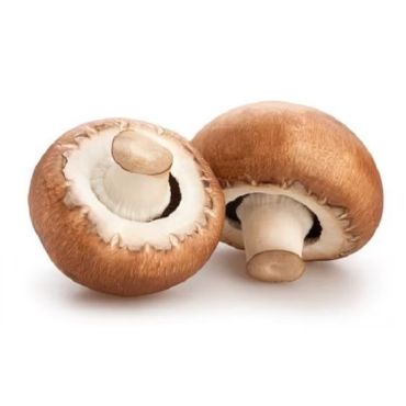 Mushroom Brown
